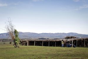 archivo fotografico de felipe garcia 101 101 20241103