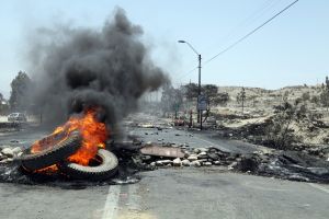 archivo fotografico de felipe garcia 119 119 20241103