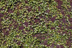 archivo fotografico de felipe garcia 123 123 20241103