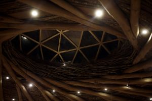 archivo fotografico de felipe garcia 129 129 20241103