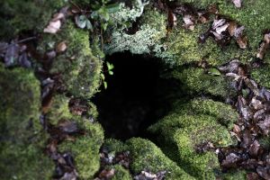 archivo fotografico de felipe garcia 134 134 20241103