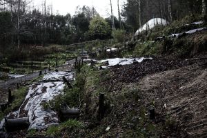 archivo fotografico de felipe garcia 136 136 20241103