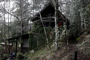 archivo fotografico de felipe garcia 137 137 20241103