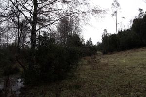 archivo fotografico de felipe garcia 144 144 20241103