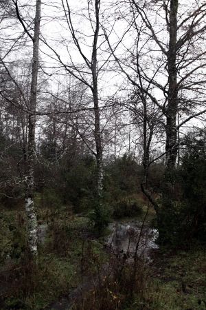 archivo fotografico de felipe garcia 145 145 20241103