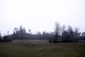 archivo fotografico de felipe garcia 146 146 20241103