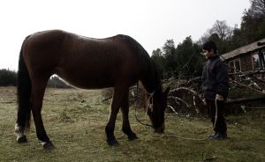 archivo fotografico de felipe garcia 149 149 20241103