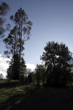 archivo fotografico de felipe garcia 151 151 20241103