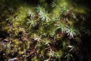 archivo fotografico de felipe garcia 158 158 20241103