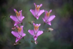archivo fotografico de felipe garcia 163 163 20241103
