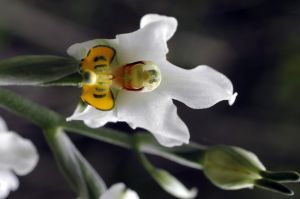 archivo fotografico de felipe garcia 172 172 20241103