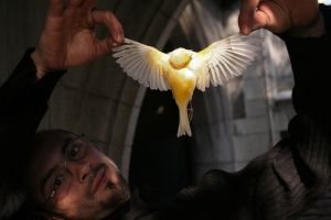 archivo fotografico de felipe garcia 18 18 20241103