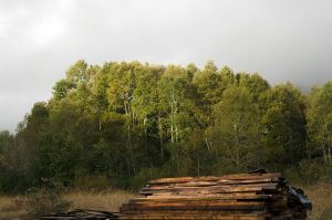 archivo fotografico de felipe garcia 226 226 20241103