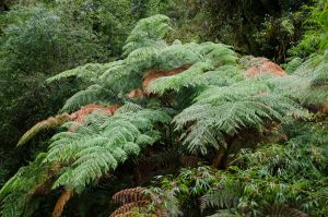 archivo fotografico de felipe garcia 235 235 20241103