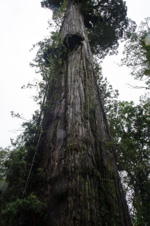 archivo fotografico de felipe garcia 237 237 20241103