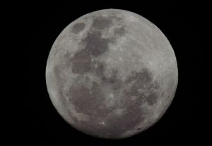 archivo fotografico de felipe garcia 248 248 20241103