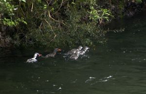 archivo fotografico de felipe garcia 260 260 20241103