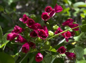 archivo fotografico de felipe garcia 262 262 20241103