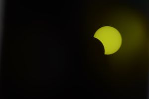 archivo fotografico de felipe garcia 282 282 20241103