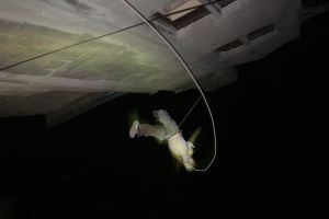 archivo fotografico de felipe garcia 31 31 20241103