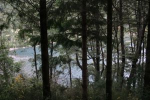 archivo fotografico de felipe garcia 44 44 20241103