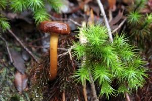 archivo fotografico de felipe garcia 48 48 20241103