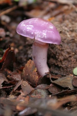 archivo fotografico de felipe garcia 50 50 20241103