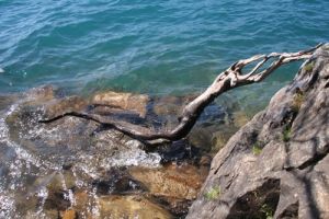 archivo fotografico de felipe garcia 60 60 20241103